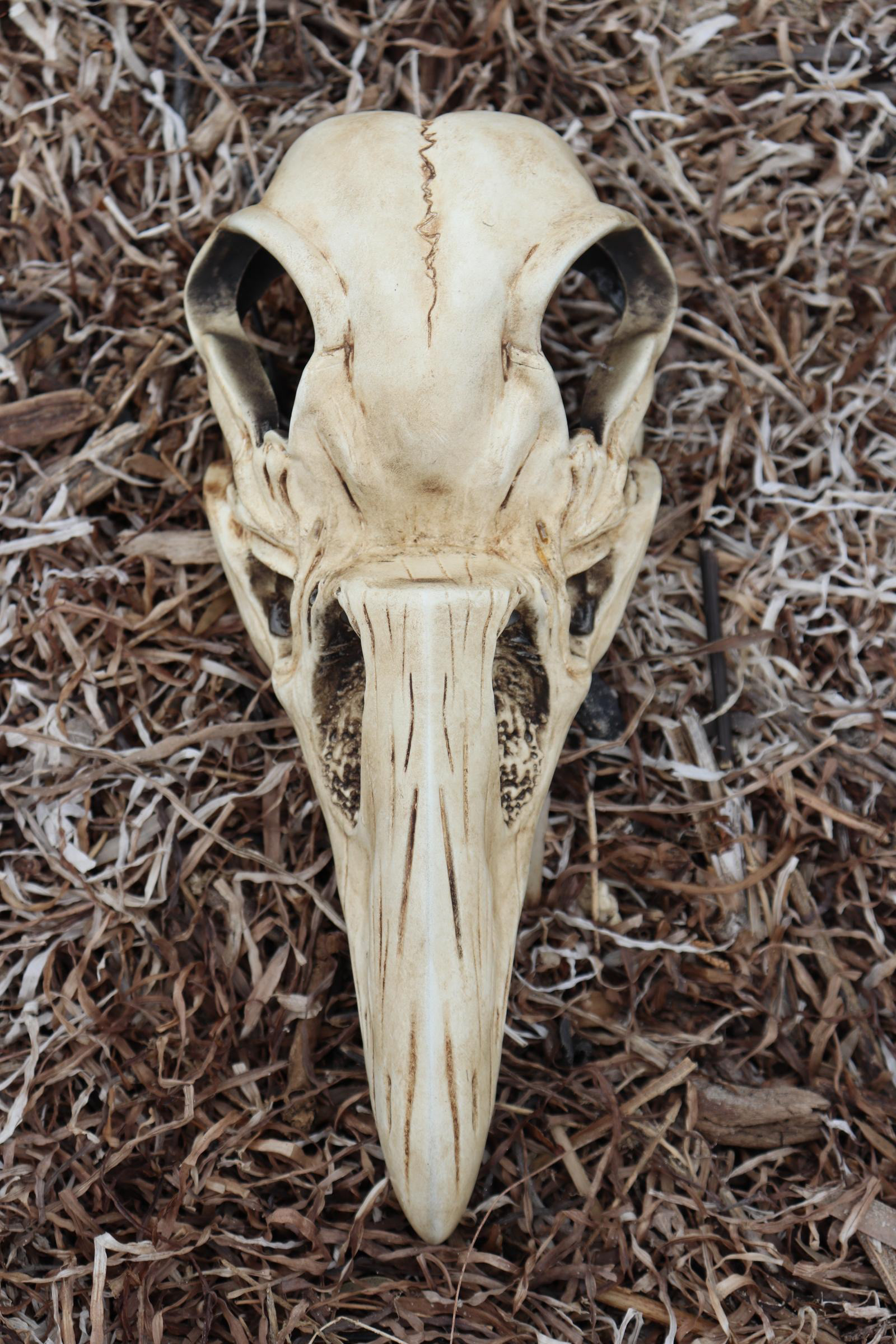 Konshu's Skull